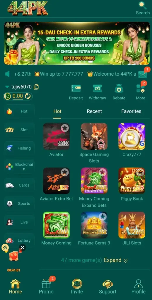 PK44 Game screenshot In Pakistan
